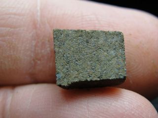 Nwa 5515 Carbonaceous Ck4 Chondrite - 5515 - 0043 - 1.  42g W/coa - Extremely Rare