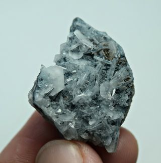 60 Ct Rare Tourmaline Crystals Inclusion Vorobyevite (beryl) Rosterite Crystals