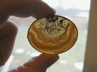 Older Vintage Or Antique Pin Brooch W/ Slice Of Agate ?