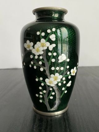 Antique Japanese Cloisonne Vase Green Ground Cherry Blossoms Circa 1940 12 Cm