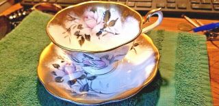 , Rare Royal Albert Pink/white Rose Hold Gilt Tea Cup