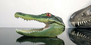 Aaa Nile Crocodile Head Animal Pvc Figurine Figure Model 7 Inches Rare Vintage