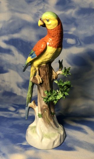 Rare 12 " Antique Dresden Carl Thieme Porcelain Parrot Bird Figurine 2175 Euc