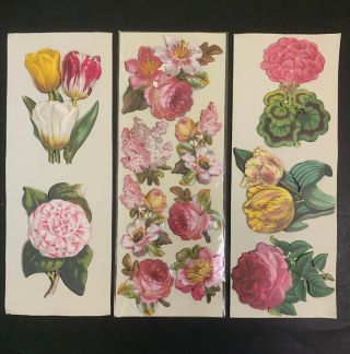 Anna Griffin 3 Die Cut 3d Embellishments Stickers Tropical Flowers Floral Rare