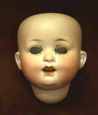 Antique German Bisque Doll Head Heubach Koppelsdorf Mold 300
