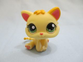 Littlest Pet Shop Cat Kitten Rare Yellow Orange 1649 Authentic Lps