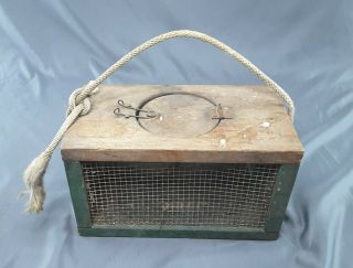 Live Bait Box Frog Cricket Salamander Wooden Wiremesh Vintage Fishing Equipment