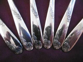 LOVELY SET OF 6 ANGORA SILVER PLATED EPNS FRUIT SPOONS 2