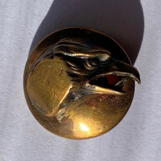 3/4 " Brass Crow Or Falcon Bird Head Button (7517)