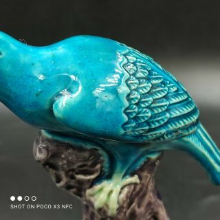 Antique Chinese Porcelain Bird Figure Turquoise With Mark 3