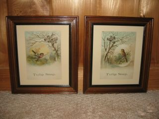 Pair Antique Vintage Victorian Tulip Soap Trade Cards Eastlake Frames With Birds