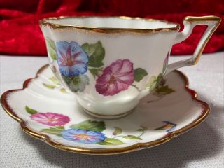 Salisbury Fine Bone China Gold Trimmed Tea Cup And Saucer