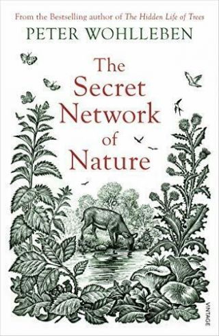 The Secret Network Of Nature: The Delicate Balance Of All.  By Wohlleben,  Peter