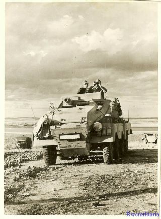 Press Photo: Rare German Afrika Korps Sdkfz.  234/3 Armored Car; Tunisia 1943