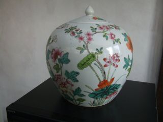 Chinese Porcelain Enamelled Ginger Jar Republic Period