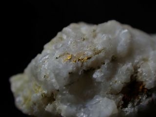 Rare Native Gold In Quartz Thumbnail,  Gap Creek Mine Ashe Co.  North Carolina