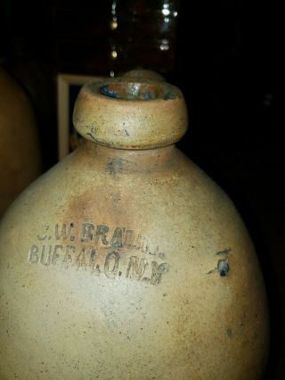 Antique Stoneware Jug Signed C.  W.  Braun Buffalo NY Whiskey Jug 2