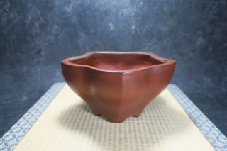 Japanese Bonsai Pot " Yamaaki " (jyuodo) Very Rare Design,  From Tokoname.