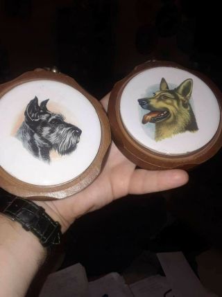 2 Vintage Small 4 Inch Wall Mounted Round Pictures Of Dogs German Shepherd And