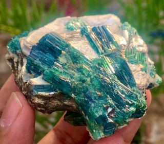900 c.  t 100 Natural Rare Open Paraiba Blue Cap Tourmaline Crystal Bunch On Mica 3