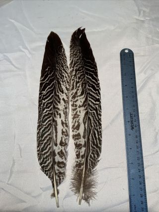 Blue Eared Silver Cross Feathers Salmon Fly Tying Flies Rare
