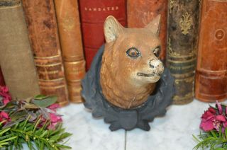 Rare Antique German Black Forest Fox Wolf Head Mounted On Carved Wood Shield