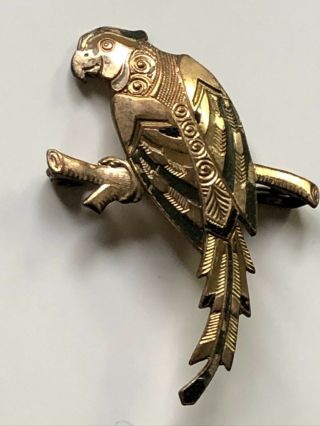 Antique? Vintage Rolled Gold Ornate And Parrot Bird On A Perch Brooch Pin
