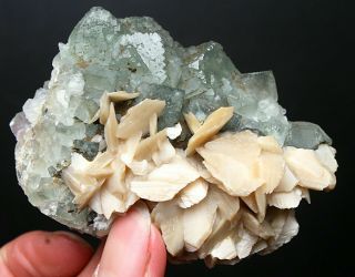 155g Rare Transparent Green Fluorite Kakoxene Crystal Mineral Specimen/china