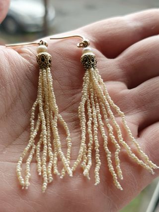 Rare Find,  Fine Georgian Natural Seed Pearls Tassel Earrings,  9 Ct Gold Hooks