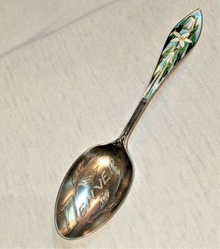 Sterling Silver Souvenir Spoon Guilloche Enamel Sand Lilies Denver Colorado