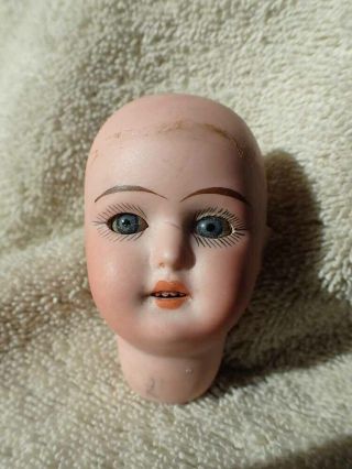 Tiny Antique German Schoenau Hoffmeister Bisque Doll Head 2 3/8 "