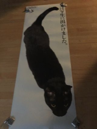large vintage BLACK CAT photograph poster,  printed in Japan,  Holbein 14.  5x40.  5 