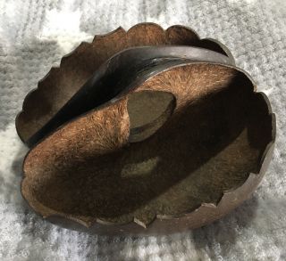Rare Antique Coco De Mer Seychelles Double Nut Basket Bowl Sea Coconut