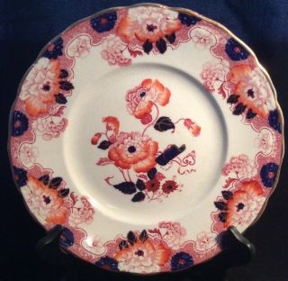 Antique Wood & Son Royal Semi - Porcelain 9 " Dinner Plate - England