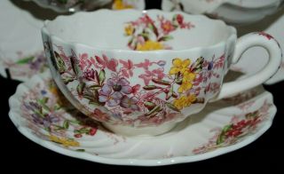 Rare Vintage 1927 Copeland Spode Fairy Dell England Tea Cup Saucer Set Floral
