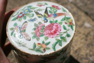18th C.  Chinese Porcelain Hand Painted Flower Bird Butterfly Tea Caddy Holder 2