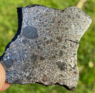 Mesosiderite Meteorite W/ Olivine & More Nwa 12949,  23.  2g,  A Rare Piece