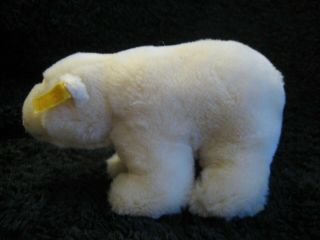 Rare 1994/99 German Steiff Polar Bear w.  Button & Tag Lommy 2