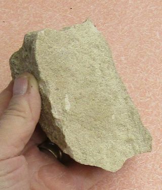 Large Specimen Of Oolitic Limestone From Sweetwater Co. ,  Wyoming