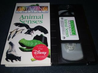 Animals Animal Senses VHS Tape rare disney channel VG Rare 3