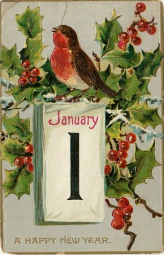 Happy Year Antique Postcard " Raphael Tuck " Embossed Birds & Holly 1908