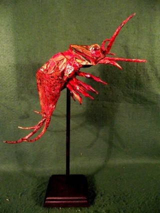 Weird Cryptozoic Isopod Rare Unknown Creepy Species Art Sculpture Non - Taxidermy 3