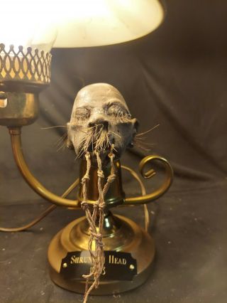Rare Shrunken Head Table Light Lamp Mummified,  Obscure,  Sideshow Gaff,  Odd,  Morbid