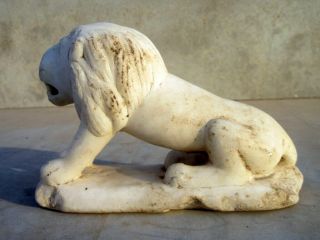 Antique Old Rare Hand Carved White Italian Marble Stone Roar Lion Figure Statue