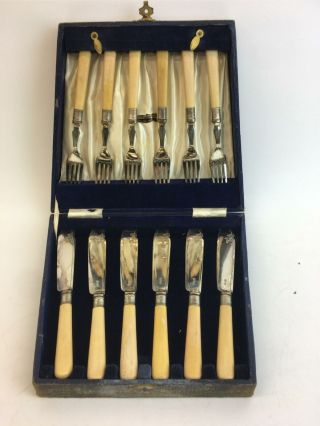 Boxed Set Of Epns Fish Knives & Forks - Sterling Silver Mounts,  Sheffield Made