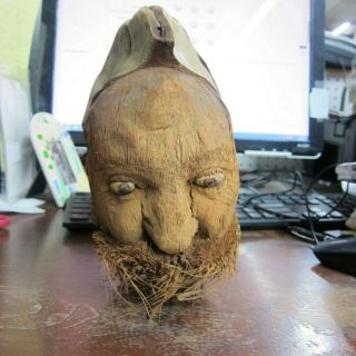 Rare Antique Folk Art Coconut Head Detailed Lifelike 100 Years Old,  Man W/beard