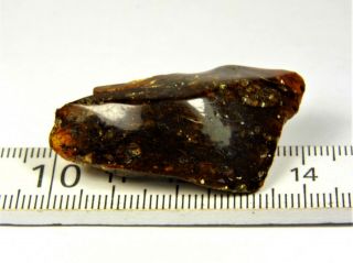 Natural Baltic Amber Stone Brooch 5 Grams Old Vintage Retro Antique 2454