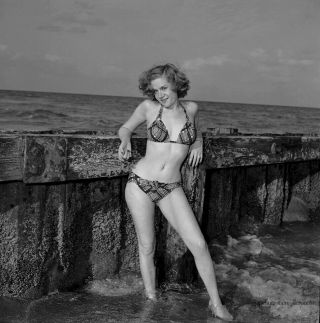1950s Bunny Yeager Pinup Camera Negative Bathing Beauty Seaside Helene Aimee Nr