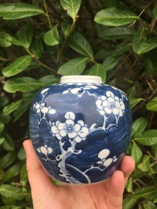 Antique Chinese Porcelain Ginger Jar Kangxi Qing Blue And White Prunus Blossom