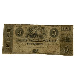 1880 Ohio $5 Obsolete Currency Bank Of Gallipolis,  Gallipolis Oh,  Rare Note